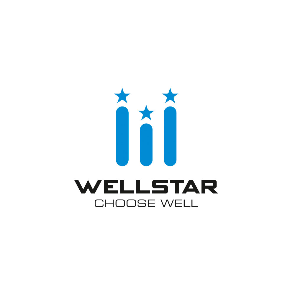 Wellstar Logo Design