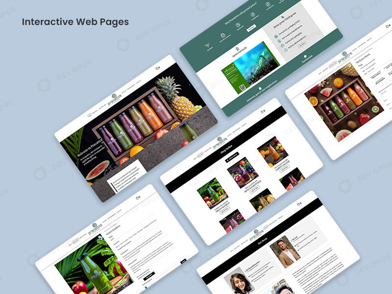 Interactive Website Design For Pranattva