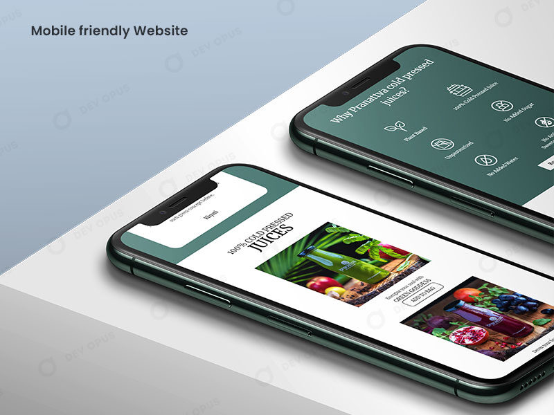 Mobile Friendly Website Design For Pranattva