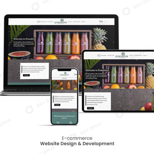 Pranattva E-commerce Website Design And Development