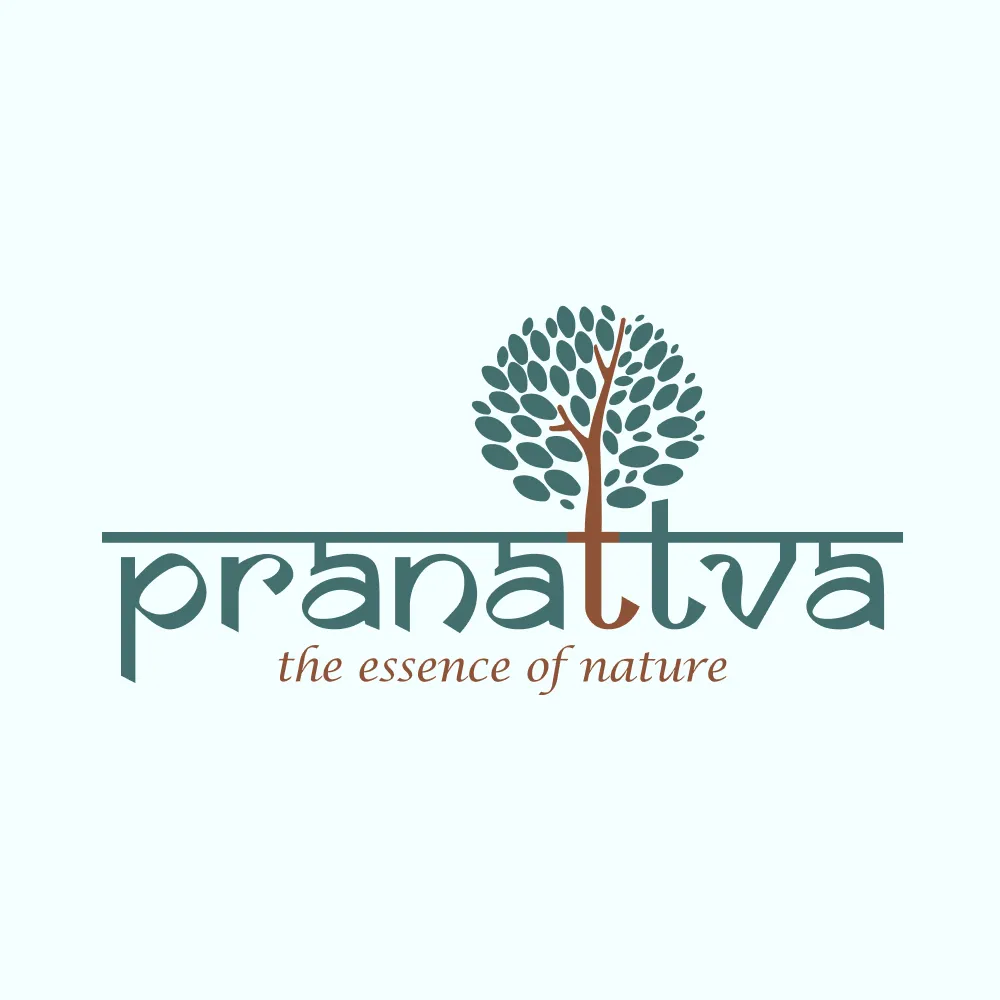Pranattva Branding, Website & Photography