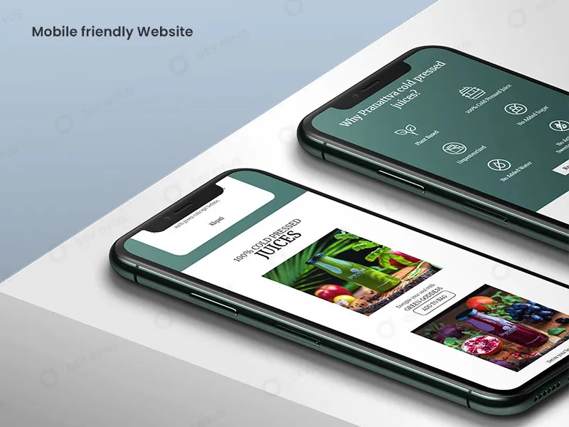 Mobile Friendly Website Design for Pranattva by Dev Opus
