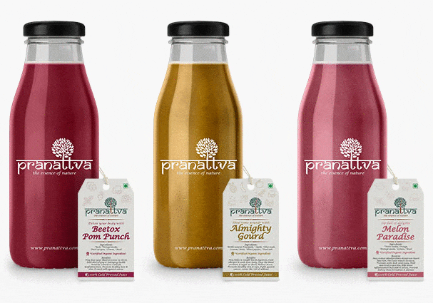 Pranattva Branding Website and Photography