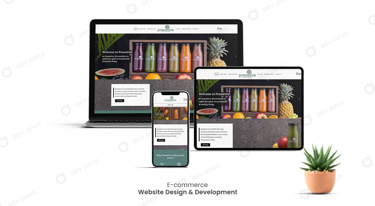 Pranattva Ecommerce Website Design and Development