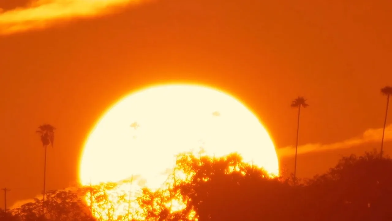 riddhi soilcare company video