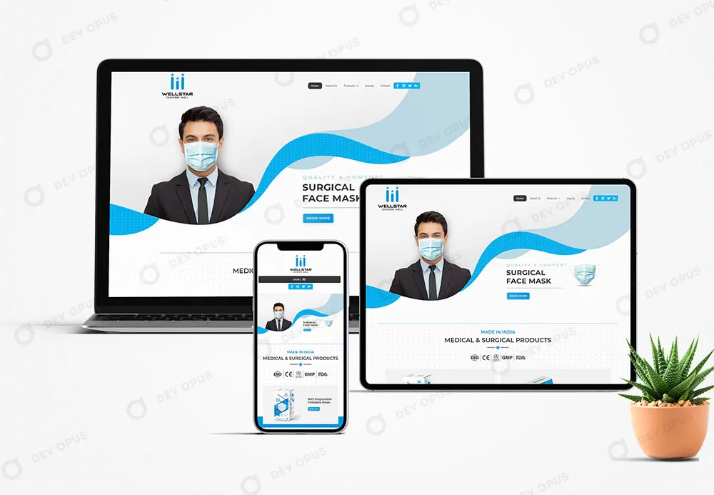 Website Design for Wellstar by Dev Opus