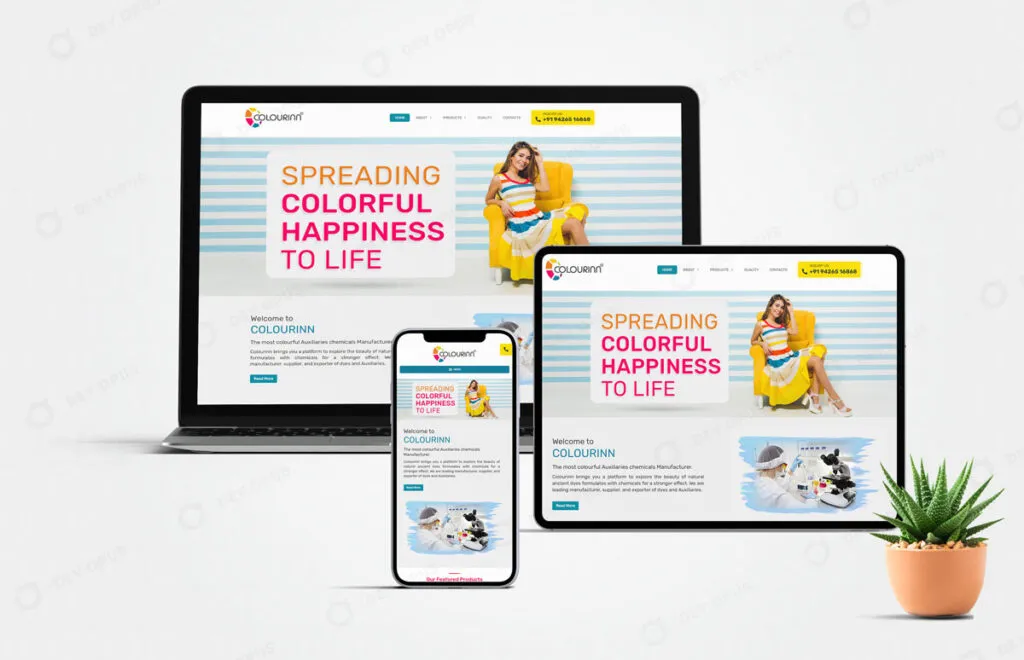 website design for colorinn by dev opus