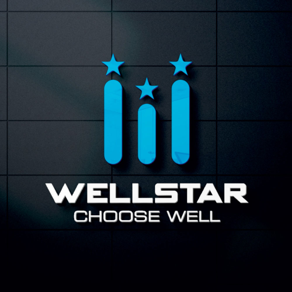 Wellstar – Branding Design